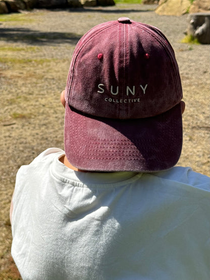 Wren Hat/Washed Red
